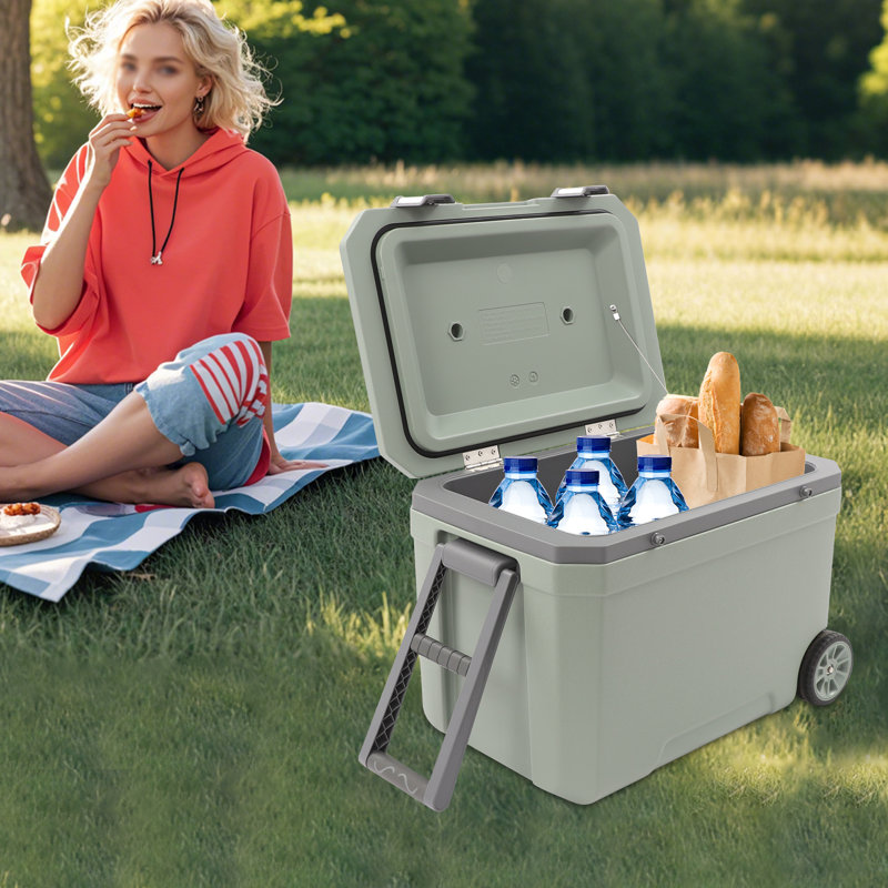 CNCEST Ice Retention Cooler With Handle | Wayfair